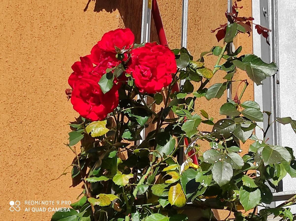 Beb Da Gaia E Giulio Bed & Breakfast Reno Di Leggiuno Luaran gambar